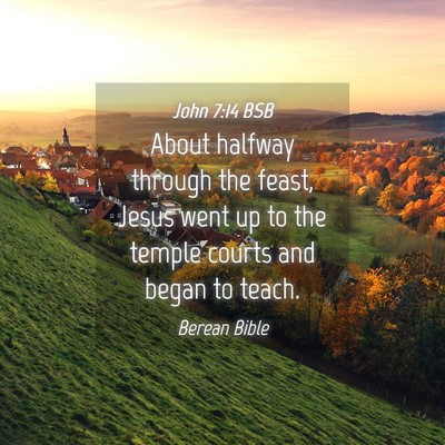Picture 04 - John 7:14 BSB - About halfway through the feast, Jesus went up to - Bible Verse Picture