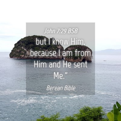 Picture 04 - John 7:29 BSB - but I know Him, because I am from Him and He sent - Bible Verse Picture