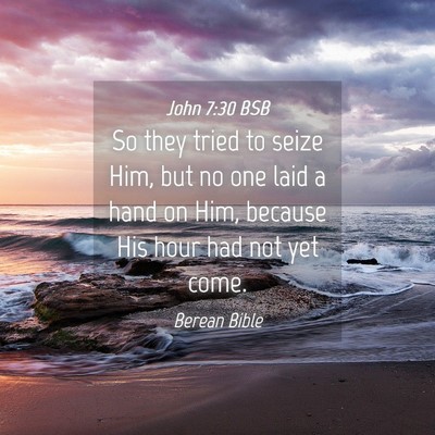 Picture 04 - John 7:30 BSB - So they tried to seize Him, but no one laid a - Bible Verse Picture