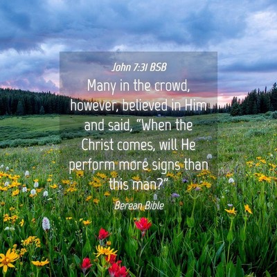 Picture 04 - John 7:31 BSB - Many in the crowd, however, believed in Him and - Bible Verse Picture