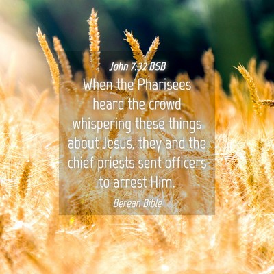 Picture 04 - John 7:32 BSB - When the Pharisees heard the crowd whispering - Bible Verse Picture
