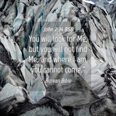 Picture 04 - John 7:34 BSB - You will look for Me, but you will not find Me; - Bible Verse Picture