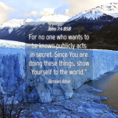 Picture 04 - John 7:4 BSB - For no one who wants to be known publicly acts in - Bible Verse Picture