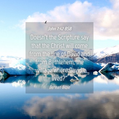 Picture 04 - John 7:42 BSB - Doesn’t the Scripture say that the Christ will - Bible Verse Picture