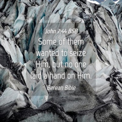 Picture 04 - John 7:44 BSB - Some of them wanted to seize Him, but no one laid - Bible Verse Picture