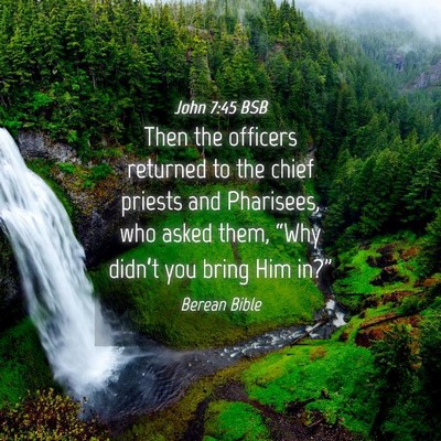 Picture 04 - John 7:45 BSB - Then the officers returned to the chief priests - Bible Verse Picture