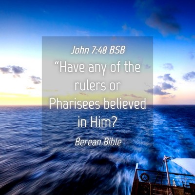 Picture 04 - John 7:48 BSB - “Have any of the rulers or Pharisees believed - Bible Verse Picture