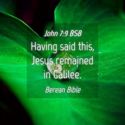Picture 04 - John 7:9 BSB - Having said this, Jesus remained in - Bible Verse Picture