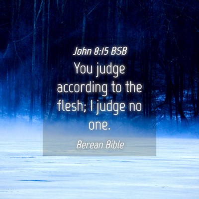 Picture 04 - John 8:15 BSB - You judge according to the flesh; I judge no - Bible Verse Picture