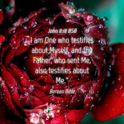 Picture 04 - John 8:18 BSB - I am One who testifies about Myself, and the - Bible Verse Picture