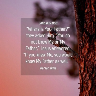 Picture 04 - John 8:19 BSB - “Where is Your Father?” they asked Him. - Bible Verse Picture