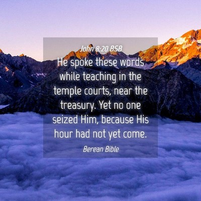 Picture 04 - John 8:20 BSB - He spoke these words while teaching in the temple - Bible Verse Picture