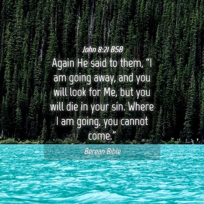 Picture 04 - John 8:21 BSB - Again He said to them, “I am going away, and - Bible Verse Picture