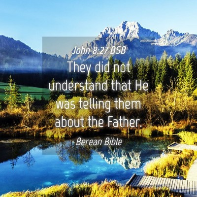 Picture 04 - John 8:27 BSB - They did not understand that He was telling them - Bible Verse Picture