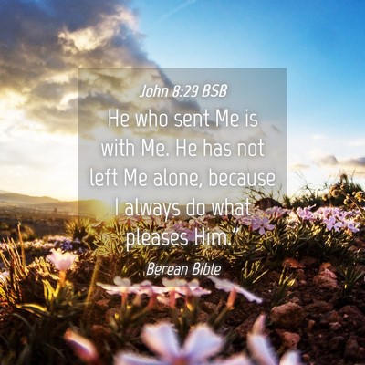 Picture 04 - John 8:29 BSB - He who sent Me is with Me. He has not left Me - Bible Verse Picture