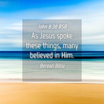 Picture 04 - John 8:30 BSB - As Jesus spoke these things, many believed in - Bible Verse Picture