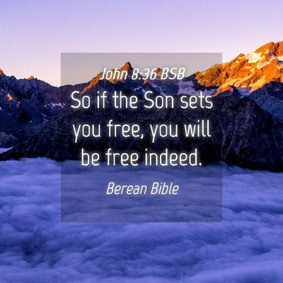 Picture 04 - John 8:36 BSB - So if the Son sets you free, you will be free - Bible Verse Picture