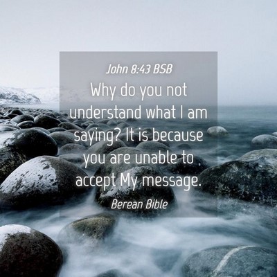 Picture 04 - John 8:43 BSB - Why do you not understand what I am saying? It is - Bible Verse Picture