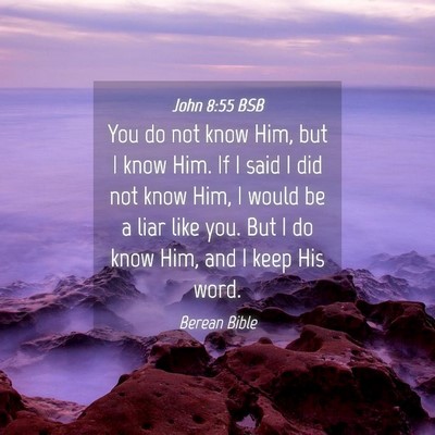 Picture 04 - John 8:55 BSB - You do not know Him, but I know Him. If I said I - Bible Verse Picture