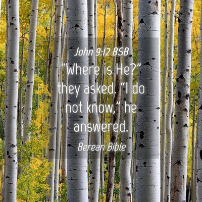 Picture 04 - John 9:12 BSB - “Where is He?” they asked. “I do not - Bible Verse Picture