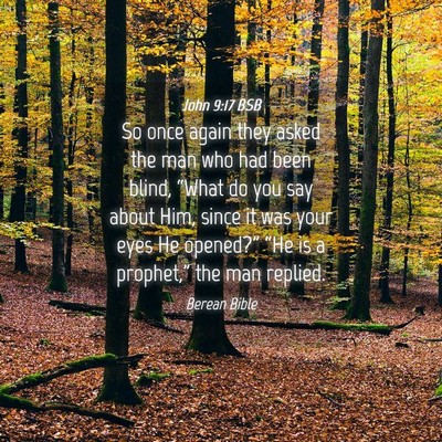 Picture 04 - John 9:17 BSB - So once again they asked the man who had been - Bible Verse Picture