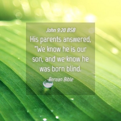 Picture 04 - John 9:20 BSB - His parents answered, “We know he is our son, - Bible Verse Picture