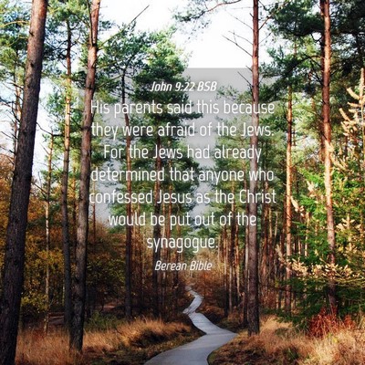 Picture 04 - John 9:22 BSB - His parents said this because they were afraid of - Bible Verse Picture