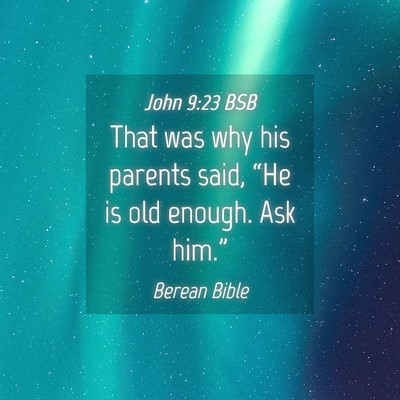 Picture 04 - John 9:23 BSB - That was why his parents said, “He is old - Bible Verse Picture