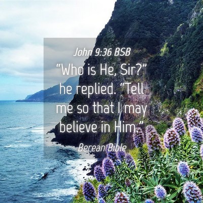 Picture 04 - John 9:36 BSB - “Who is He, Sir?” he replied. “Tell me so - Bible Verse Picture