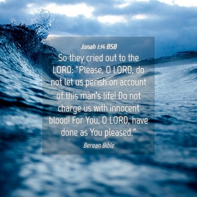 Picture 04 - Jonah 1:14 BSB - So they cried out to the LORD: “Please, O LORD, - Bible Verse Picture