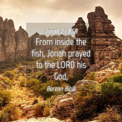 Picture 04 - Jonah 2:1 BSB - From inside the fish, Jonah prayed to the LORD - Bible Verse Picture