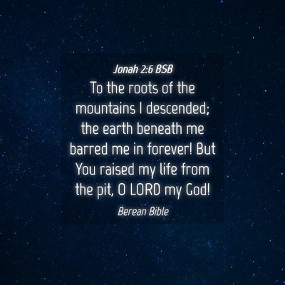 Picture 04 - Jonah 2:6 BSB - To the roots of the mountains I descended; the - Bible Verse Picture