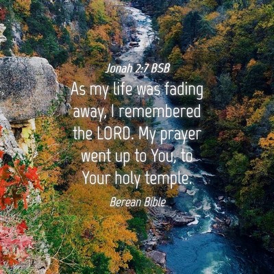 Picture 04 - Jonah 2:7 BSB - As my life was fading away, I remembered the - Bible Verse Picture