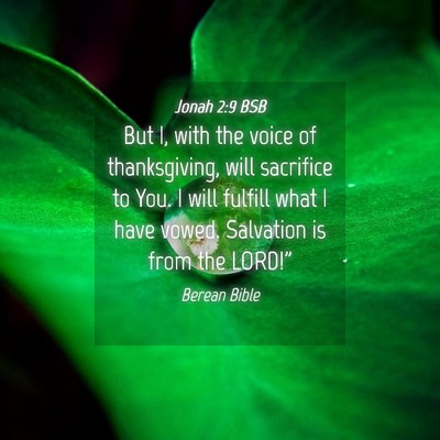 Picture 04 - Jonah 2:9 BSB - But I, with the voice of thanksgiving, will - Bible Verse Picture