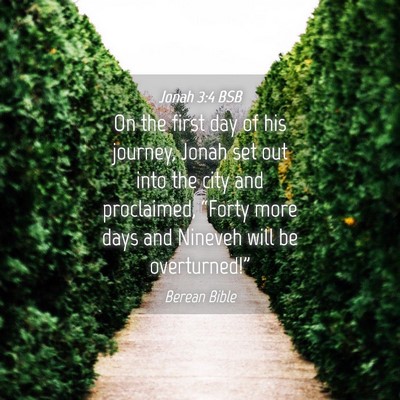 Picture 04 - Jonah 3:4 BSB - On the first day of his journey, Jonah set out - Bible Verse Picture