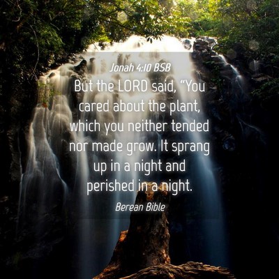 Picture 04 - Jonah 4:10 BSB - But the LORD said, “You cared about the plant, - Bible Verse Picture