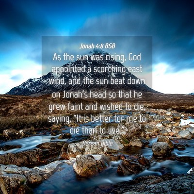 Picture 04 - Jonah 4:8 BSB - As the sun was rising, God appointed a scorching - Bible Verse Picture