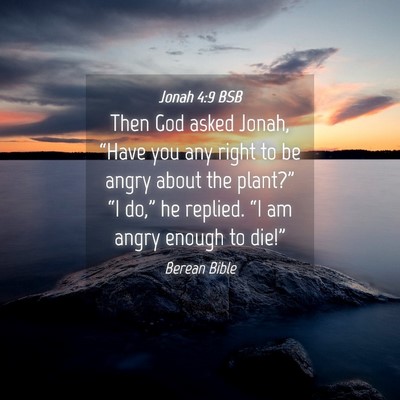 Picture 04 - Jonah 4:9 BSB - Then God asked Jonah, “Have you any right to be - Bible Verse Picture