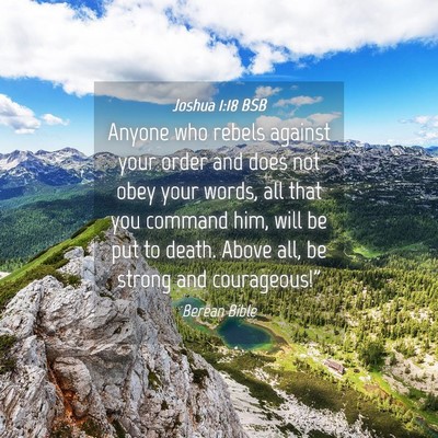 Picture 04 - Joshua 1:18 BSB - Anyone who rebels against your order and does not - Bible Verse Picture