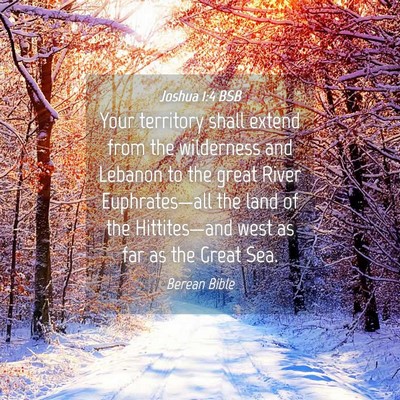 Picture 04 - Joshua 1:4 BSB - Your territory shall extend from the wilderness - Bible Verse Picture