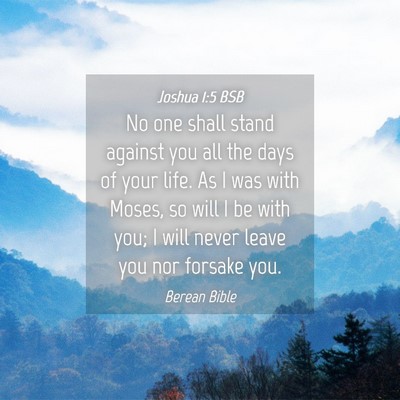 Picture 04 - Joshua 1:5 BSB - No one shall stand against you all the days of - Bible Verse Picture