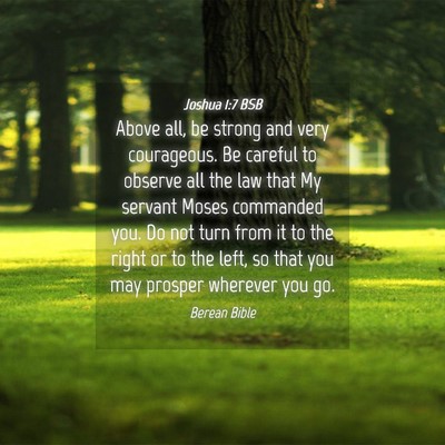 Picture 04 - Joshua 1:7 BSB - Above all, be strong and very courageous. Be - Bible Verse Picture