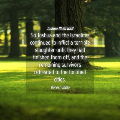 Picture 04 - Joshua 10:20 BSB - So Joshua and the Israelites continued to inflict - Bible Verse Picture