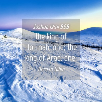 Picture 04 - Joshua 12:14 BSB - the king of Hormah, one; the king of Arad, - Bible Verse Picture
