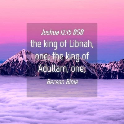 Picture 04 - Joshua 12:15 BSB - the king of Libnah, one; the king of Adullam, - Bible Verse Picture
