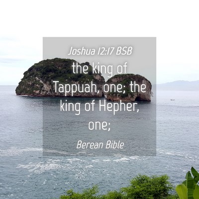 Picture 04 - Joshua 12:17 BSB - the king of Tappuah, one; the king of Hepher, - Bible Verse Picture