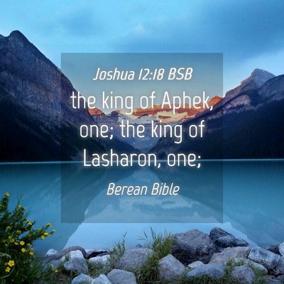 Picture 04 - Joshua 12:18 BSB - the king of Aphek, one; the king of Lasharon, - Bible Verse Picture