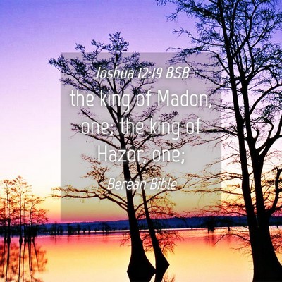 Picture 04 - Joshua 12:19 BSB - the king of Madon, one; the king of Hazor, - Bible Verse Picture