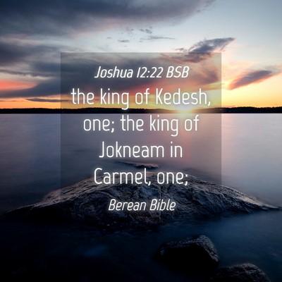 Picture 04 - Joshua 12:22 BSB - the king of Kedesh, one; the king of Jokneam in - Bible Verse Picture