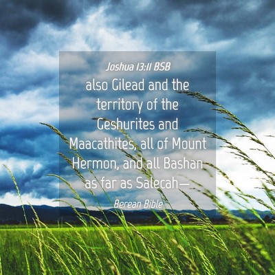 Picture 04 - Joshua 13:11 BSB - also Gilead and the territory of the Geshurites - Bible Verse Picture